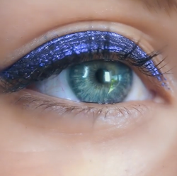 Screen Shot 2018-11-13 at 8.26.19 PM