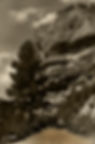 priorat 23-06-2020 027