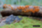 DSC_3785_18359