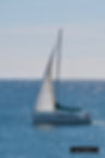 DSC_6686_18764