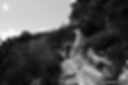 Raw Photo (11)
