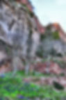 sota catell 10-02-2021 050_fhdr