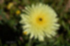 DSC_5834A_5735