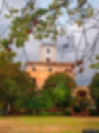 P1013166