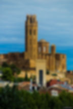 _MG_8554