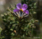 gloria-21 043