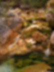 P1010237