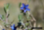 DSC_6455A_5765