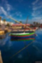 _MG_5146