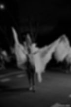 Raw Photo (15)