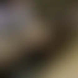 CRIMES POLICIAIS: Jovem negro é agredido em vídeo por PMs em abordagem na zona sul de SP