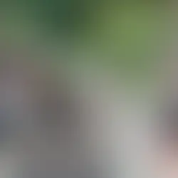 Policiais militares homenageiam soldado morto com um minuto de sirenes ligadas