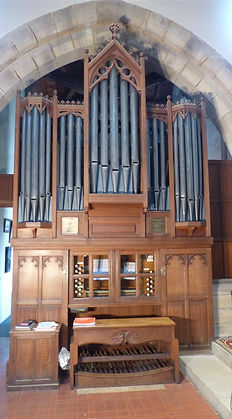 P1030734 (Medium).JPG