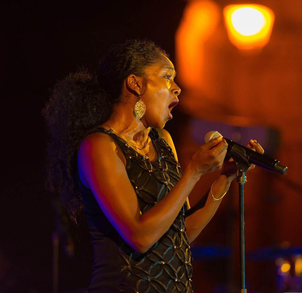 12caropat-concert-2679903.jpg