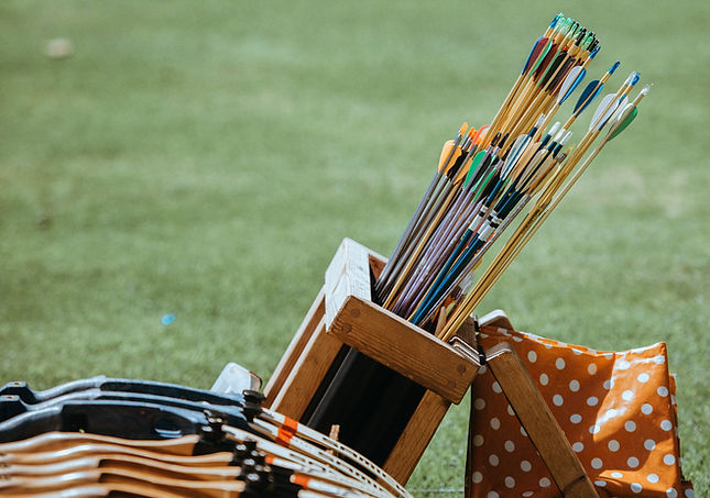 Archery Arrows