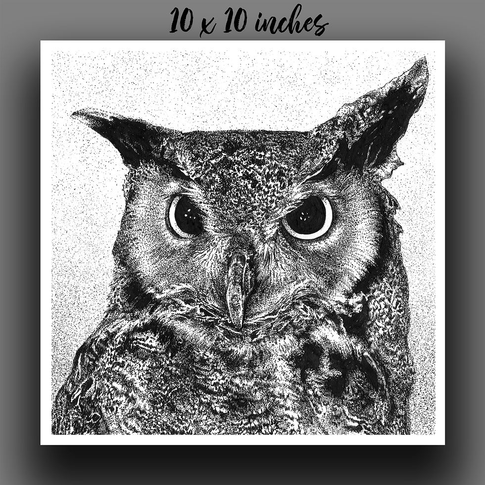 "Great Horned Owl" Print