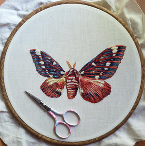 Custom Asymmetrical Moth, Handmade Embrodery