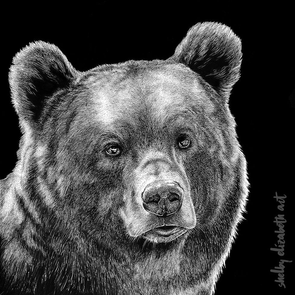Thumbnail: "Brown Bear" Signed Print