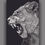 Thumbnail: "Lioness" Signed Print