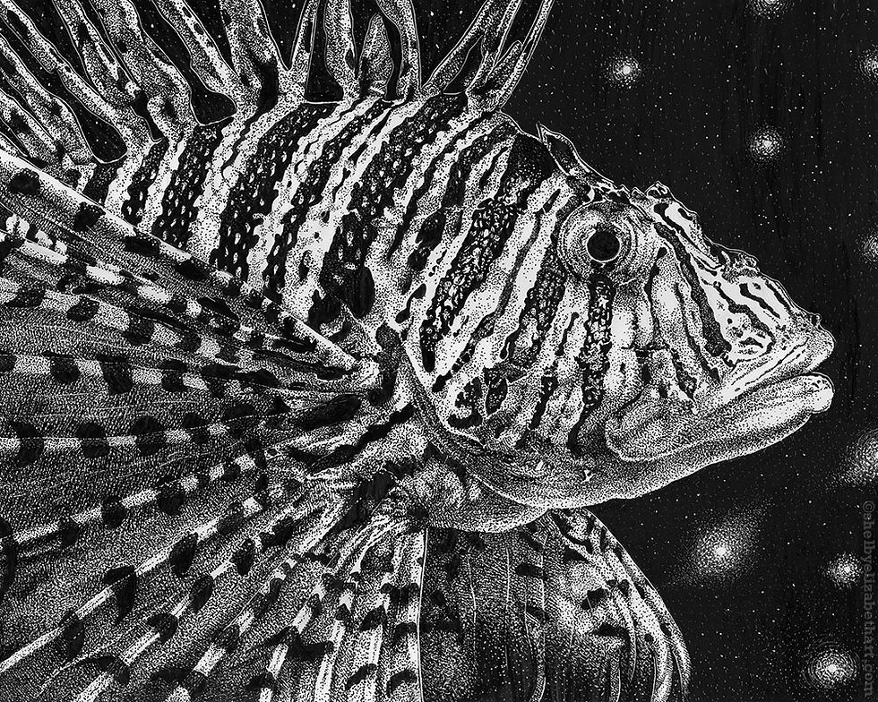 Thumbnail: "Lionfish" Print