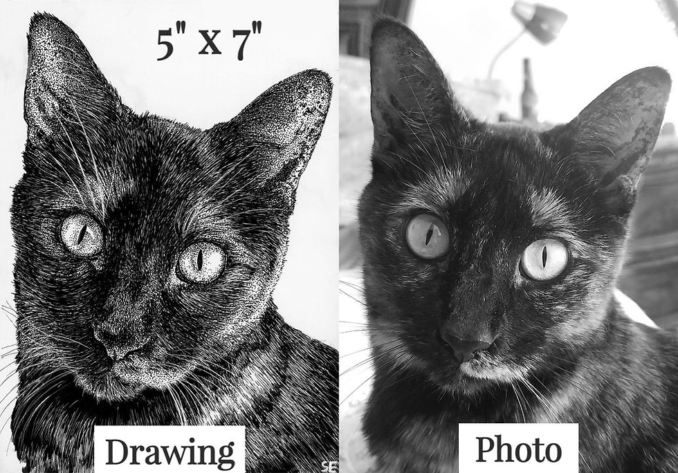 Thumbnail: Custom Pet Portrait