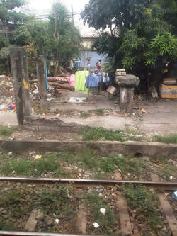 12733367_1299930016739875_2533016635007481407_n