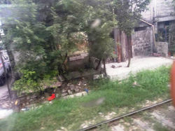 943944_1299929746739902_5309779157226387229_n