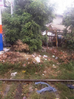 12744705_1299930040073206_482157765715865782_n