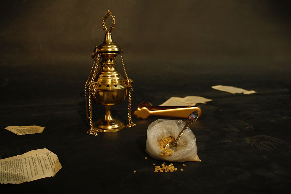 Performance_Volveranbanderasvictoriosas6