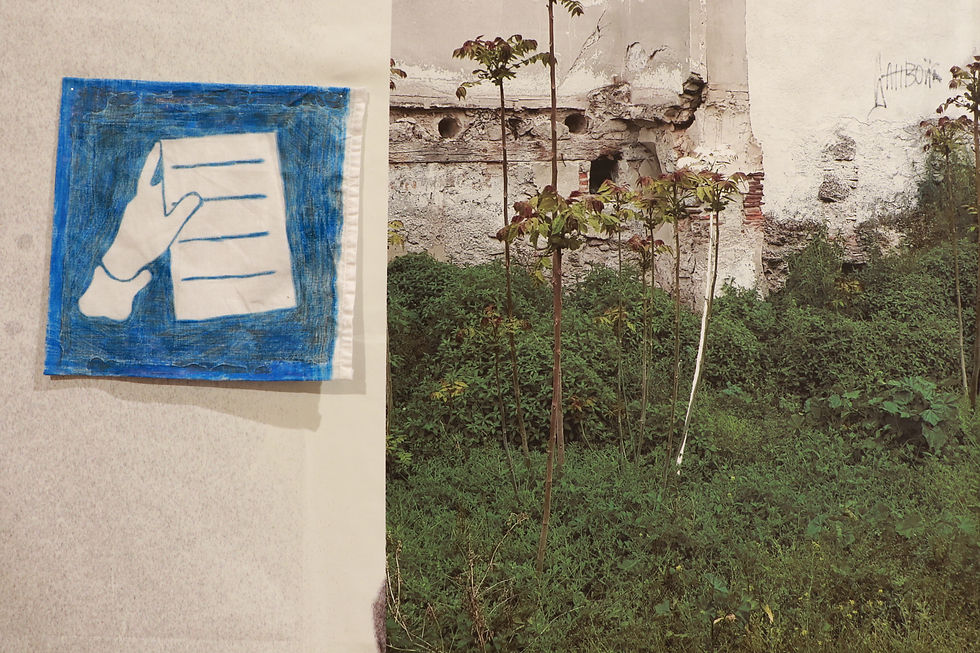 Planta para entender y adelanto, Carlos Cañadas