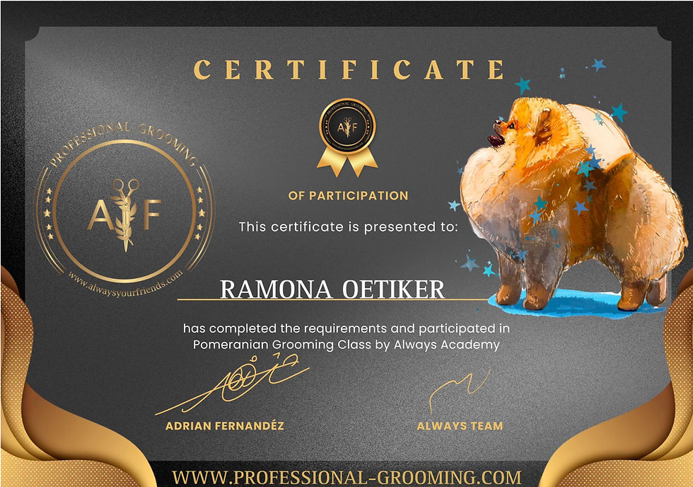 Pomeranian Grooming Class