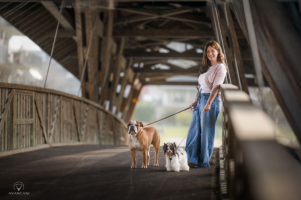 Hank and Friends Hundesalon