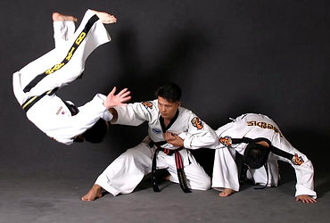 hapkido-master-korea.jpg