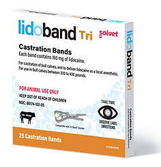 Lidoband Tri_25 Bands Box.png