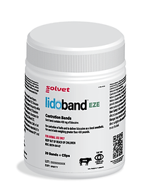 Lidoband EZE_20 Bands+clips_Jar.png