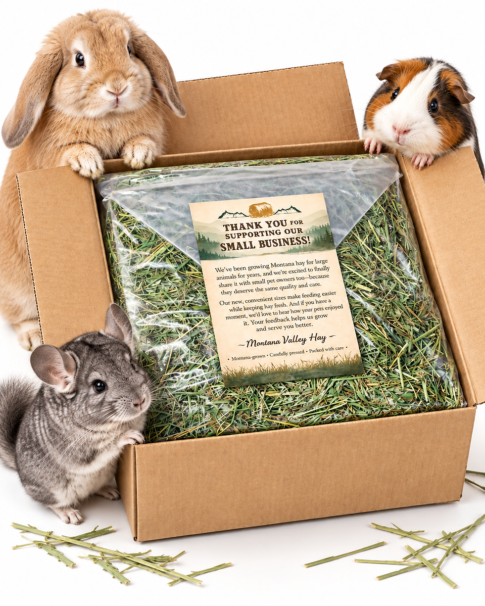 Thumbnail: 20 lb Timothy & Alfalfa Hay Blend for Rabbits & Guinea Pigs – Bulk 