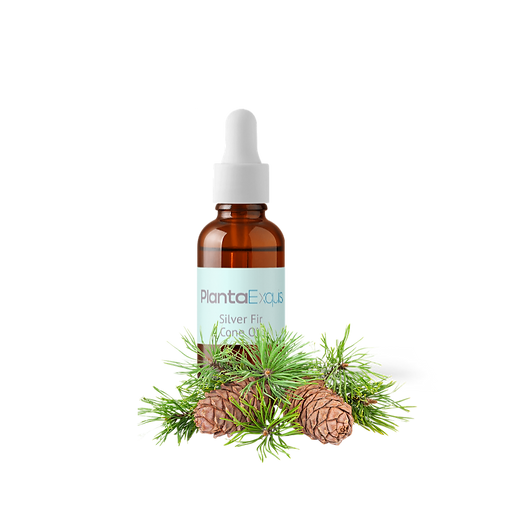 garlic oil finished image.png