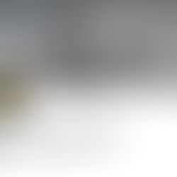 Donating 4 Skating Site launch....