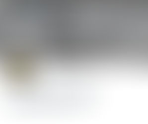 Donating 4 Skating Site launch....