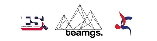 Giving for TeamGS - Supporter Quick Gift Aid Form