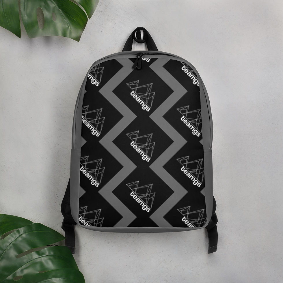 Miniature : TeamGS Minimalist Backpack (grayscale)