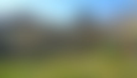 175. KTO SIEJE WIATR ZBIERA BURZE, 
CZYLI DWA SŁOWA O ŚMIERCI AGRIPPINY, MATKI NERONA