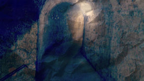 699. GALLERIA BORBONICA