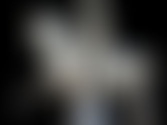 588. MARCUS NONIUS BALBUS NA KONIU