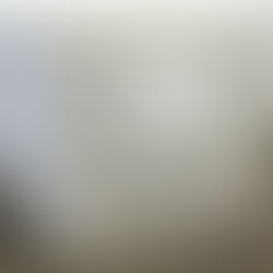 556. URNA Z LIŚĆMI I EPIGRAFEM