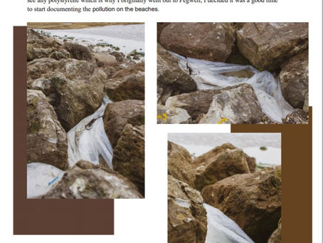 FMP - Documenting pollution (Pegwell Bay)