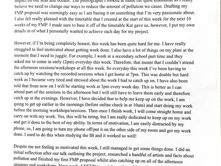 FMP - Week 1 reflection