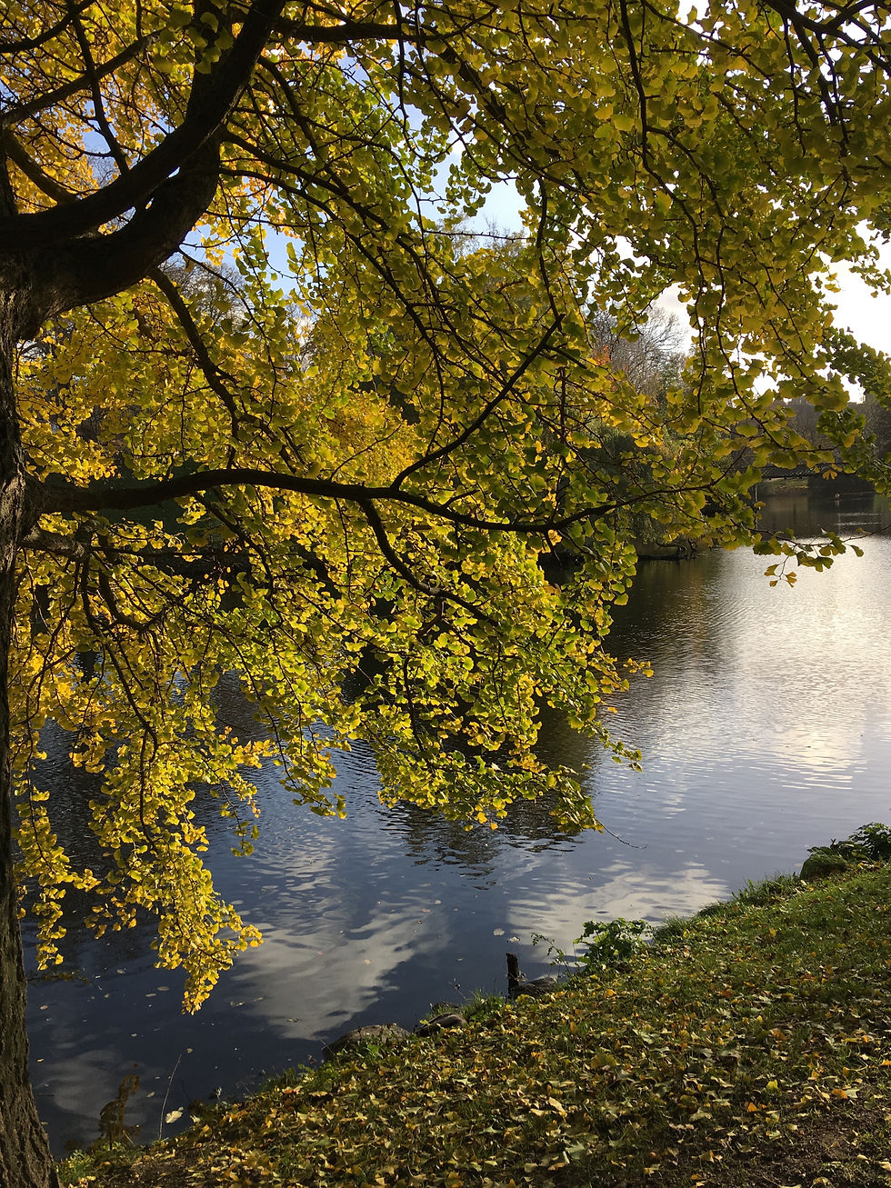 Natur