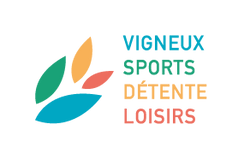 VSDL_LOGO_petit.png