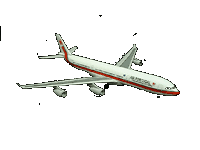 avion_100.gif